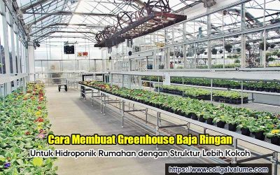 Cara Membuat Greenhouse Baja Ringan untuk Hidroponik Rumahan dengan Struktur Lebih Kokoh